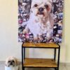 quadros pet