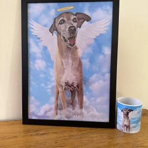 Quadro Pet c/ moldura - Estampados