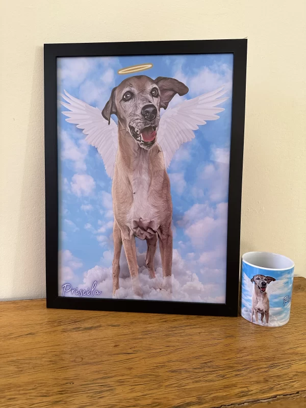 Quadro Pet c/ moldura - Estampados