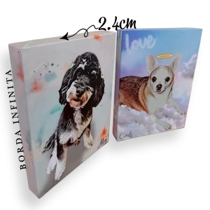 QUADRO PET