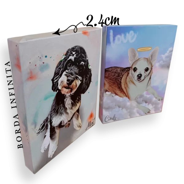 QUADRO PET